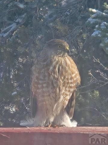 3681 County RD 510, Walsenburg, CO 81089