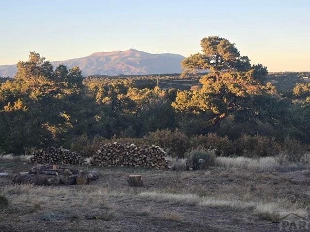 3681 County RD 510, Walsenburg, CO 81089