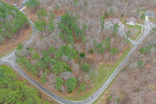 173 Fern Ct, Buchanan, TN 38222