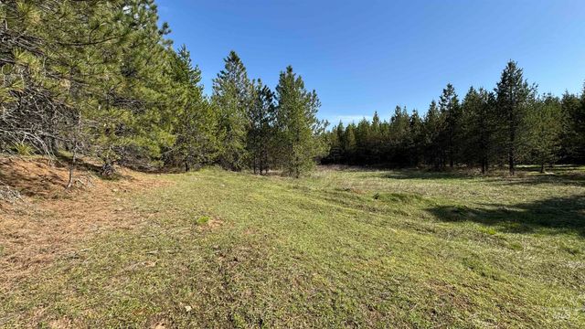 TBD Parcel 14 Bandmill Heights, Orofino, ID 83554