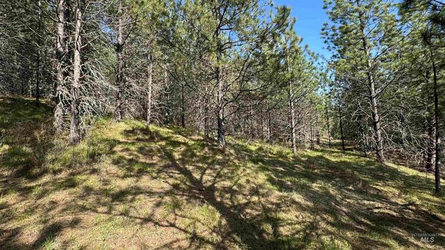 TBD Parcel 14 Bandmill Heights, Orofino, ID 83554