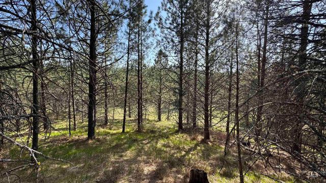 TBD Parcel 14 Bandmill Heights, Orofino, ID 83554