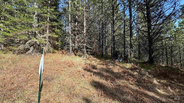 TBD Parcel 14 Bandmill Heights, Orofino, ID 83554
