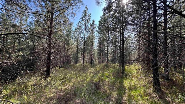 TBD Parcel 14 Bandmill Heights, Orofino, ID 83554