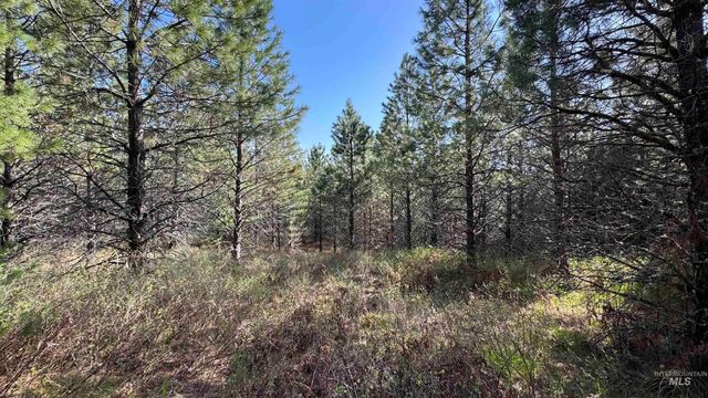 TBD Parcel 14 Bandmill Heights, Orofino, ID 83554