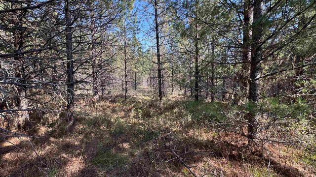 TBD Parcel 14 Bandmill Heights, Orofino, ID 83554