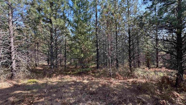 TBD Parcel 14 Bandmill Heights, Orofino, ID 83554