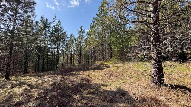 TBD Parcel 14 Bandmill Heights, Orofino, ID 83554