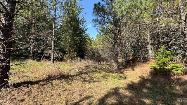 TBD Parcel 14 Bandmill Heights, Orofino, ID 83554