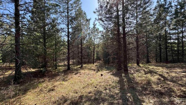 TBD Parcel 14 Bandmill Heights, Orofino, ID 83554