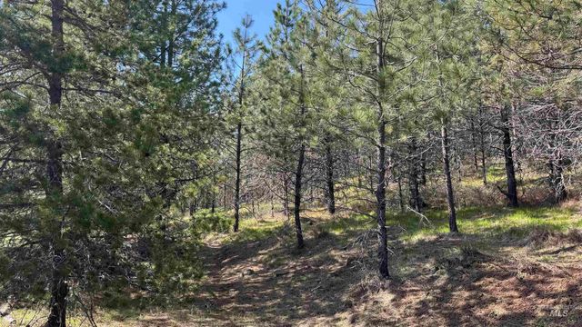 TBD Parcel 14 Bandmill Heights, Orofino, ID 83554