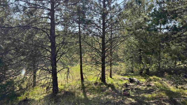 TBD Parcel 14 Bandmill Heights, Orofino, ID 83554
