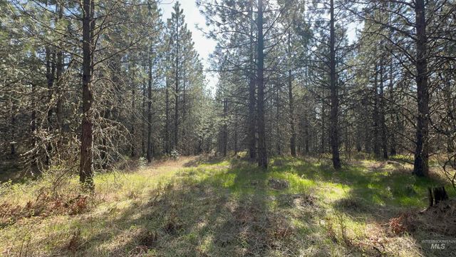 TBD Parcel 14 Bandmill Heights, Orofino, ID 83554