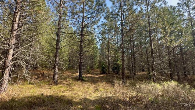 TBD Parcel 14 Bandmill Heights, Orofino, ID 83554