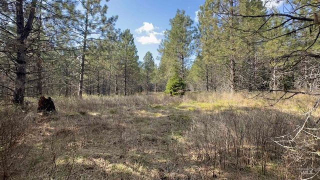 TBD Parcel 14 Bandmill Heights, Orofino, ID 83554