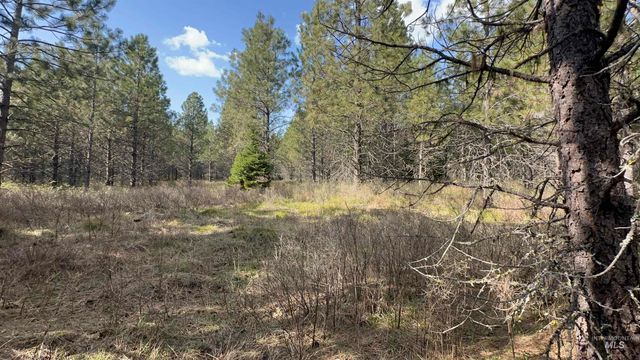 TBD Parcel 14 Bandmill Heights, Orofino, ID 83554