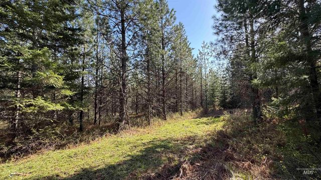 TBD Parcel 14 Bandmill Heights, Orofino, ID 83554