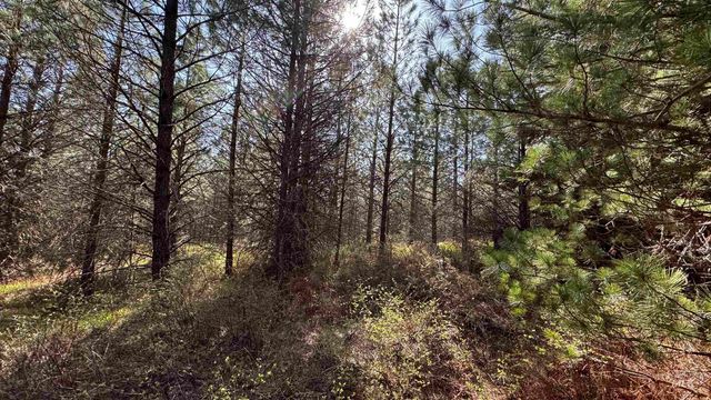 TBD Parcel 14 Bandmill Heights, Orofino, ID 83554
