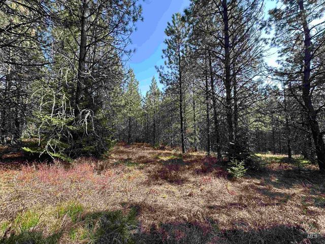 TBD Parcel 14 Bandmill Heights, Orofino, ID 83554