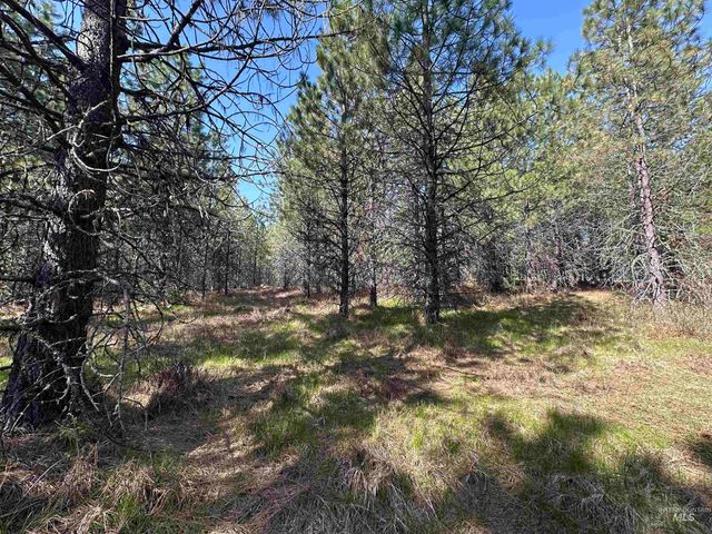 TBD Parcel 14 Bandmill Heights, Orofino, ID 83554