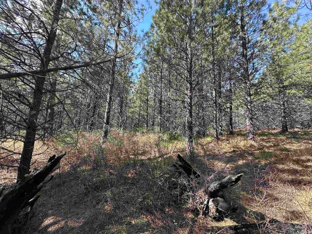 TBD Parcel 14 Bandmill Heights, Orofino, ID 83554