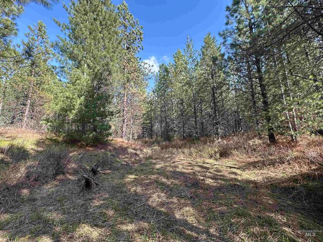 TBD Parcel 14 Bandmill Heights, Orofino, ID 83554