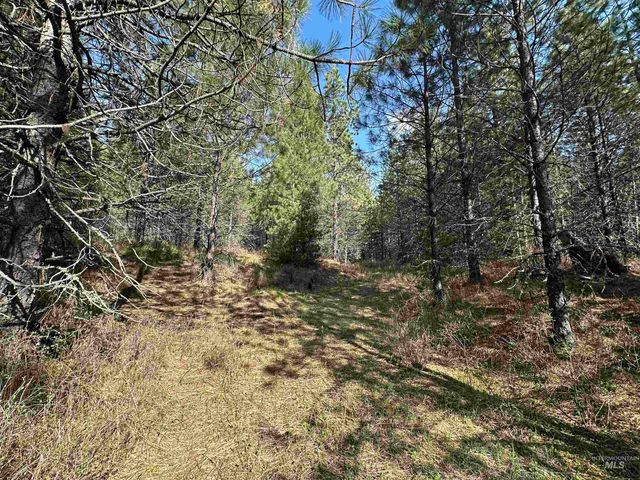 TBD Parcel 14 Bandmill Heights, Orofino, ID 83554