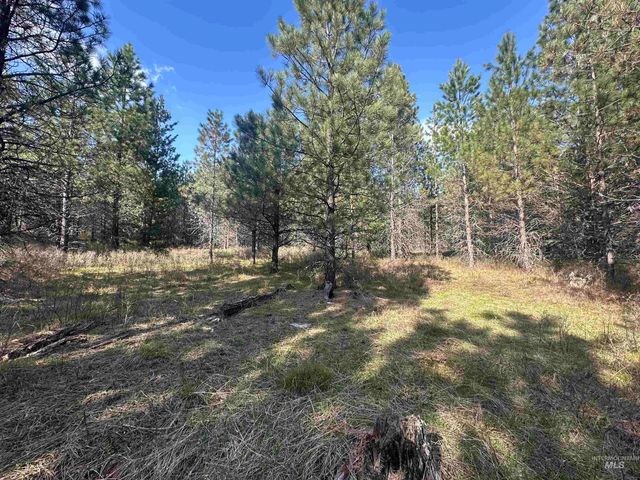 TBD Parcel 14 Bandmill Heights, Orofino, ID 83554