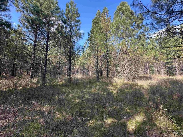 TBD Parcel 14 Bandmill Heights, Orofino, ID 83554
