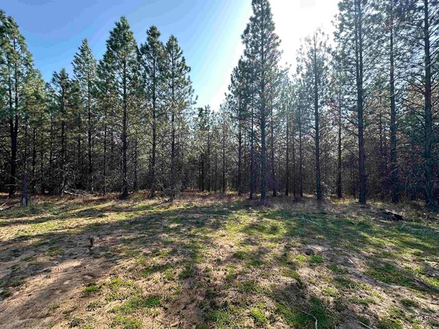 TBD Parcel 14 Bandmill Heights, Orofino, ID 83554
