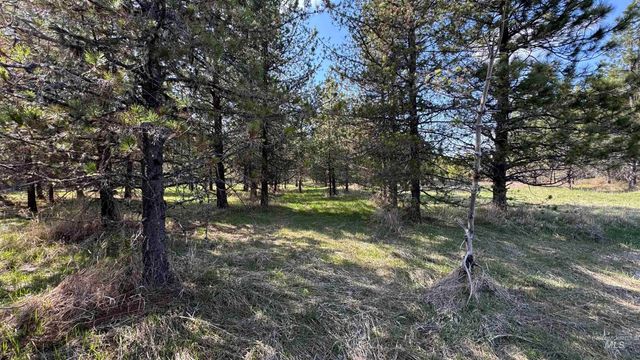 TBD Parcel 14 Bandmill Heights, Orofino, ID 83554