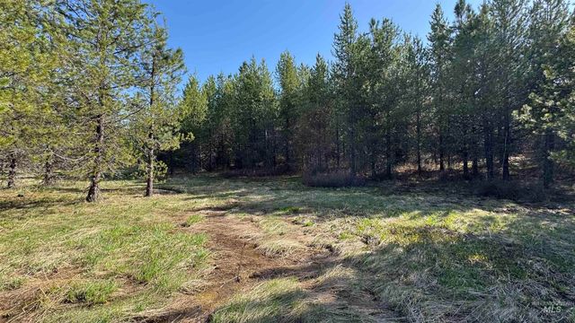 TBD Parcel 14 Bandmill Heights, Orofino, ID 83554