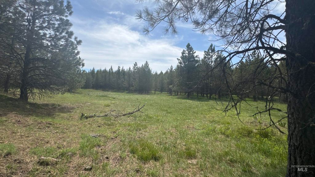 TBD Parcel 14 Bandmill Heights, Orofino, ID 83554