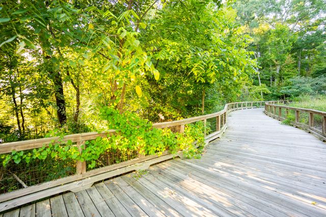 209 Hillcrest Avenue Avenue, Chattanooga, TN 37411