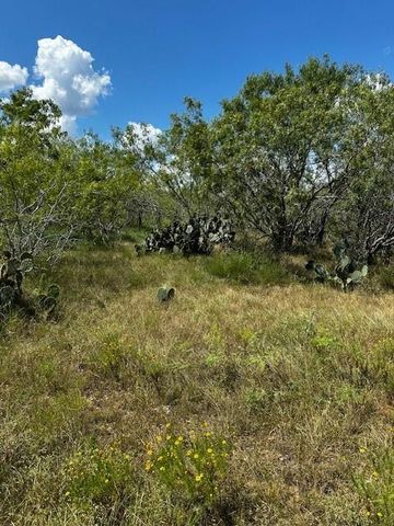 TR 5 Private Road, Waelder, TX 78959