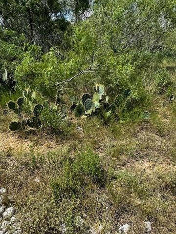 TR 5 Private Road, Waelder, TX 78959