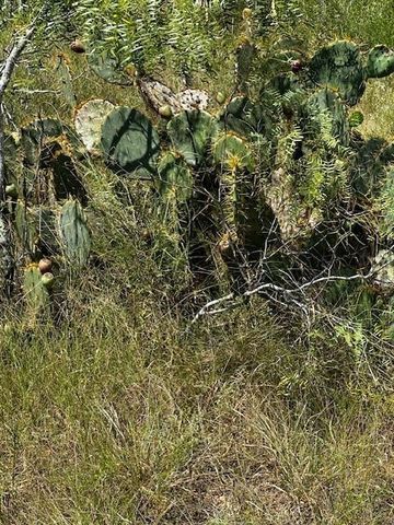 TR 5 Private Road, Waelder, TX 78959