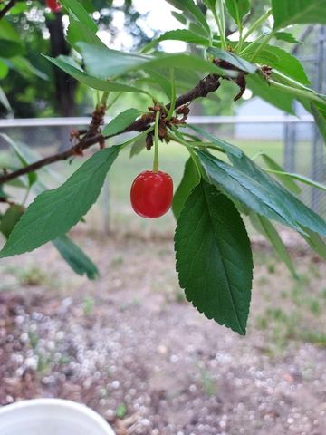 548 Doris Avenue, Shoreview, MN 55126