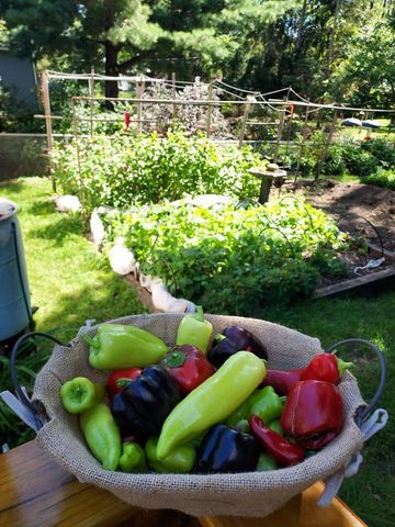 548 Doris Avenue, Shoreview, MN 55126