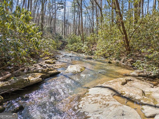 101 Evening Shade, Clayton, GA 30525