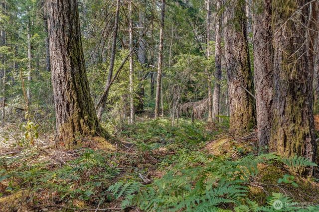 33 N Rainbow Way W, Hoodsport, WA 98548
