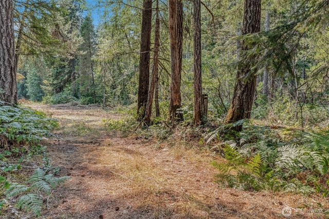 33 N Rainbow Way W, Hoodsport, WA 98548