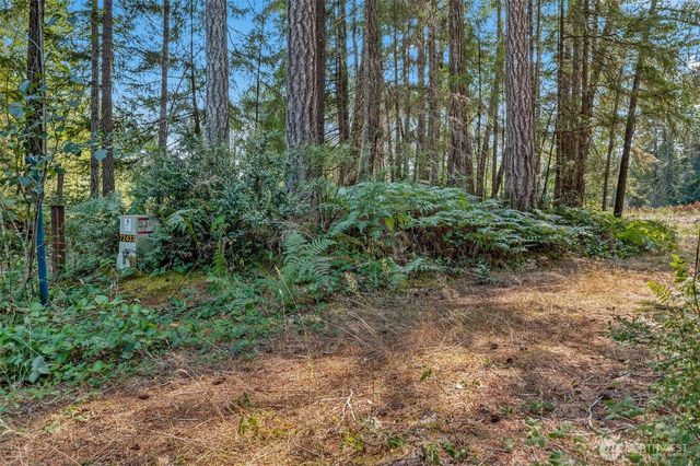 33 N Rainbow Way W, Hoodsport, WA 98548