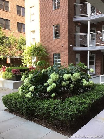 700 Summer Street 4L, Stamford, CT 06901