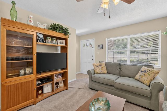 445 S GRANDVIEW STREET 8, Mount Dora, FL 32757