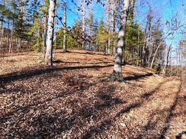 Lot 17-4 N Coast Drive, Mill Spring, NC 28756