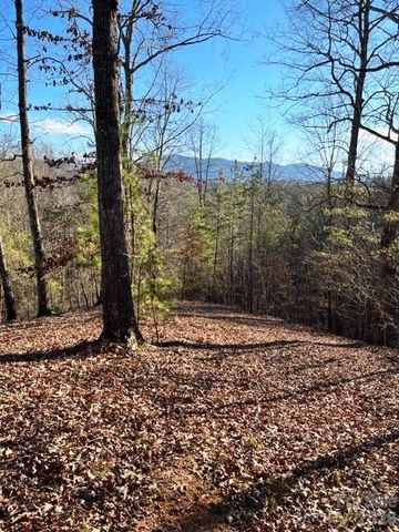Lot 17-4 N Coast Drive, Mill Spring, NC 28756