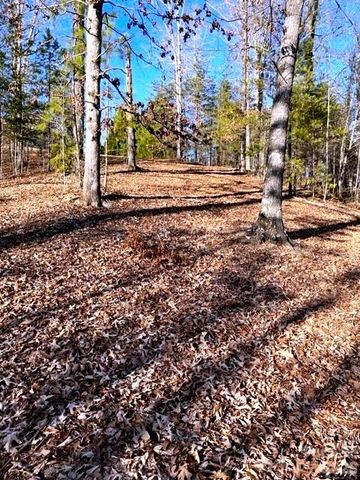 Lot 17-4 N Coast Drive, Mill Spring, NC 28756