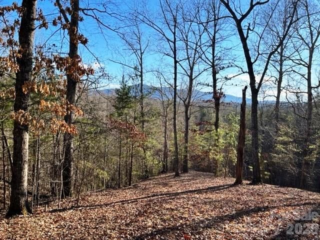Lot 17-4 N Coast Drive, Mill Spring, NC 28756