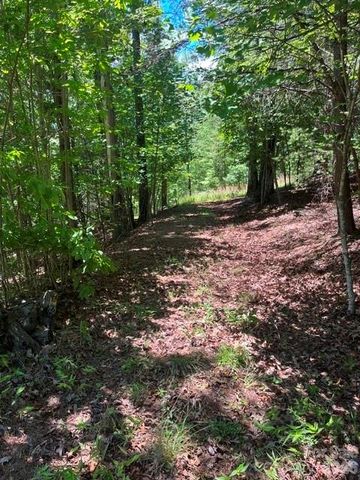 Lot 17-4 N Coast Drive, Mill Spring, NC 28756